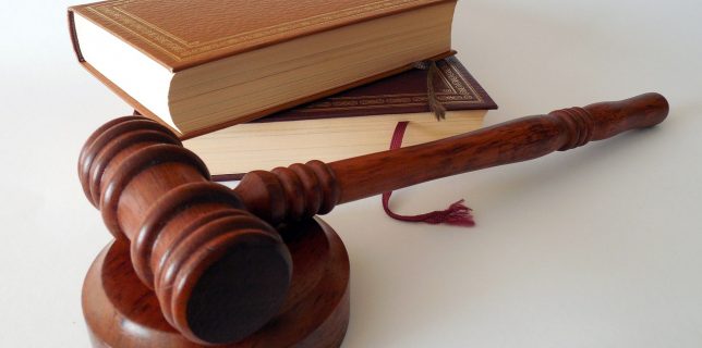 Cazul ”Sorina” Judecătoria Slatina a respins solicitarea procurorului general de interzicere a părăsirii ţării