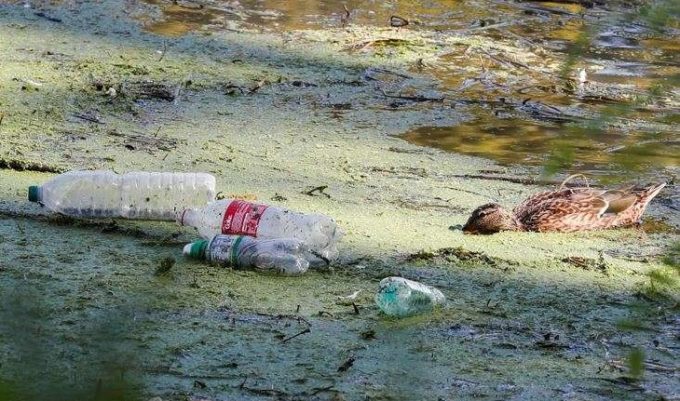 Coca-Cola, cel mai mare poluator cu plastic din lume, potrivit raportului anual al Greenpeace