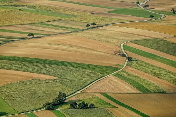 Daea, despre vânzarea terenurilor către străini – Categoriile de preemptori vor avea o logică de interes statal