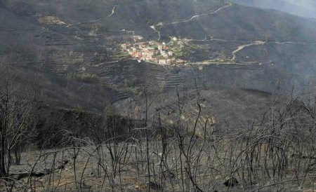 Incendii în Portugalia – bilanțul a crescut la 42 de morți