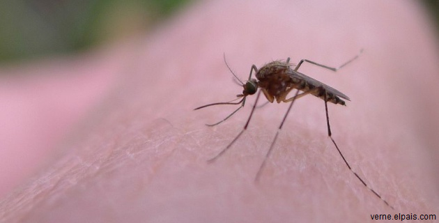 Ministerul-Sănătății-confirmă-un-al-treilea-caz-de-import-de-virus-Zika-în-România