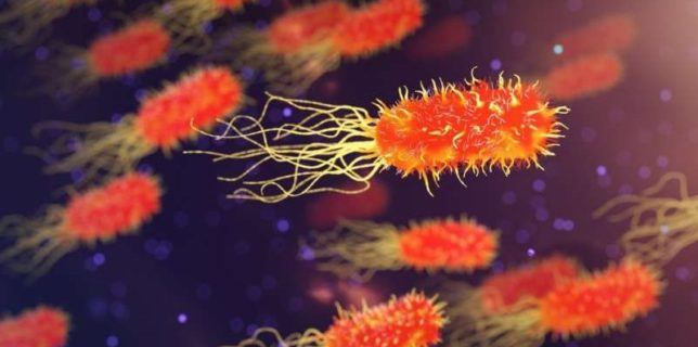 Nanoparticulele de aur ar putea fi o alternativă la a antibiotice (studiu)