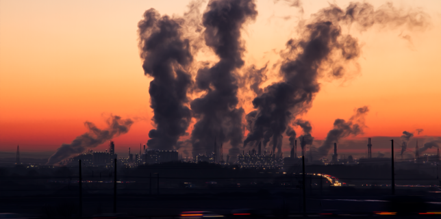 Reducerea poluării aerului ar duce la evitarea a peste 50.000 de decese pe an în Europa (studiu)