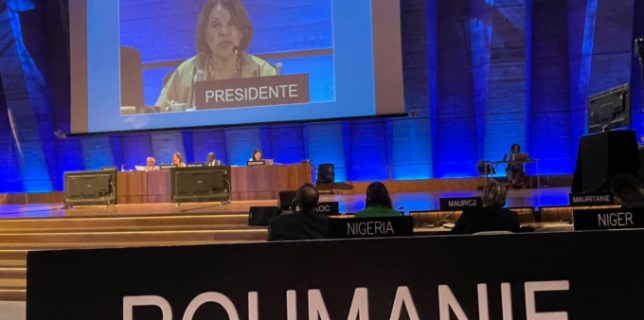 România - aleasă membru în Comitetul Interguvernamental al Convenţiei UNESCO privind protecţia şi promovarea diversităţii expresiilor culturale
