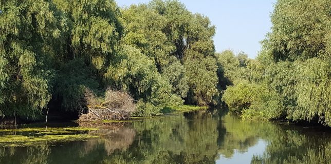 Sit UNESCO – Delta Dunării poate fi explorată virtual pe Google Maps
