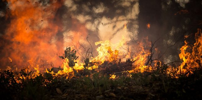 Spania – Arestarea unui bărbat suspectat că a provocat un incendiu de pădure violent în 2017