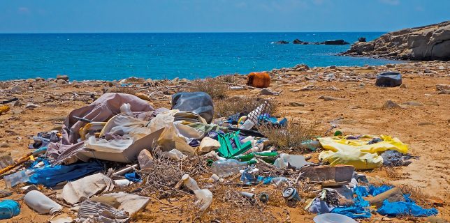 UE interzice anumite articole de unică folosinţă din plastic