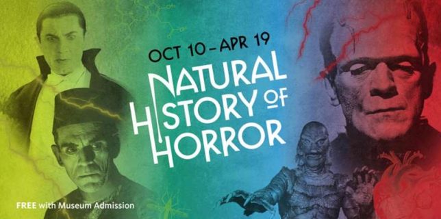 Un muzeu din Los Angeles dezvăluie, de Halloween, ştiinţa aflată în spatele unor filme horror